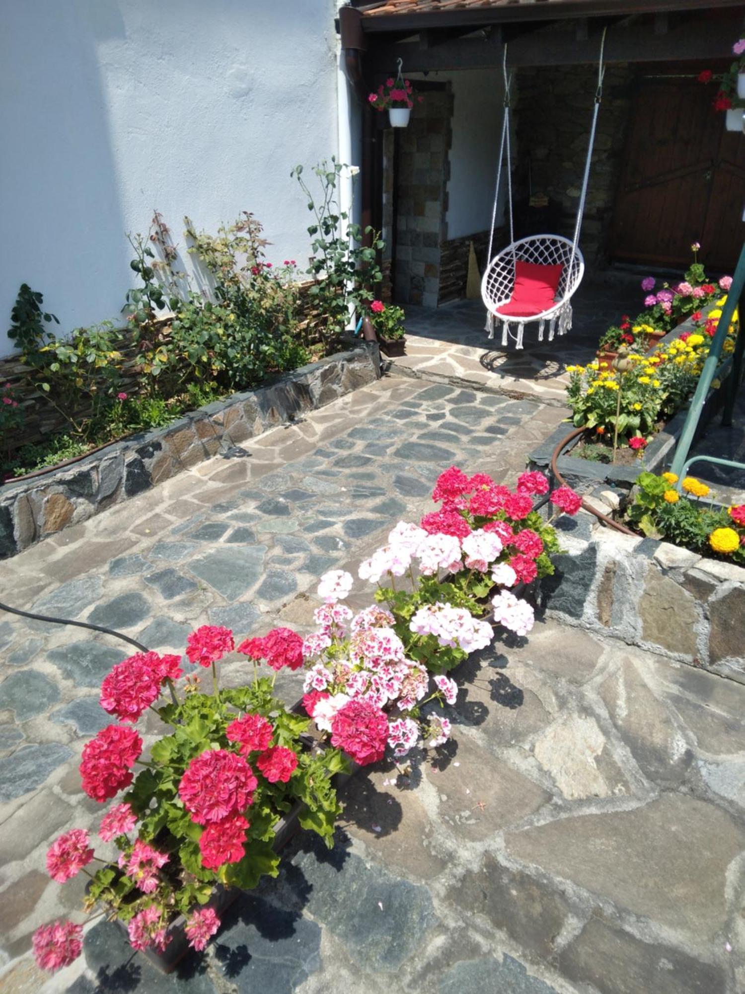 Guest House Popov Marchevo Εξωτερικό φωτογραφία